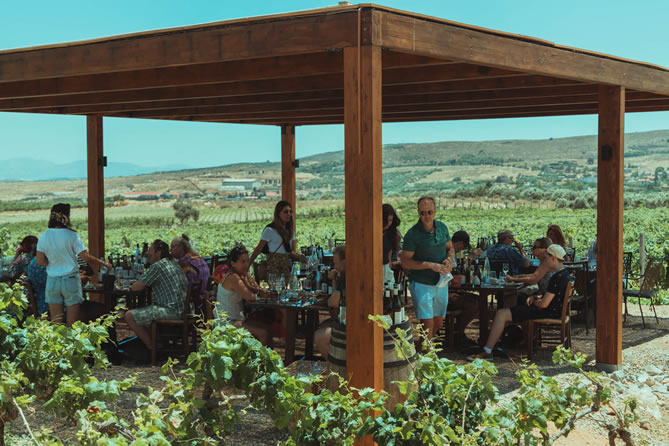 Privé wijnproeverij op Kreta met Eye Travel